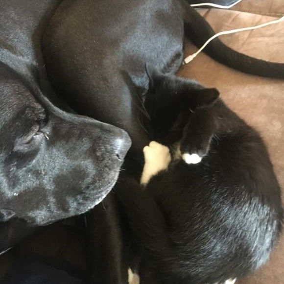 Hello! - Picture 5 of 5